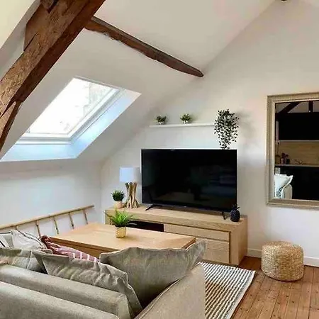 アパート Le Bali Appart' T1 Au Centre Du Mans ルマン