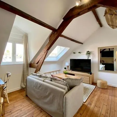Le Bali Appart' T1 Au Centre Du Mans Apartment Le Mans