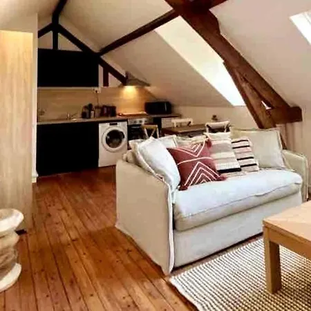 아파트 Le Bali Appart' T1 Au Centre Du Mans 르망