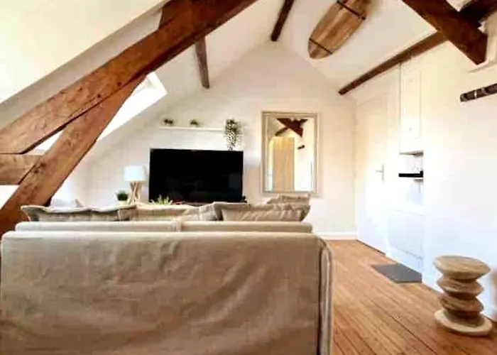 公寓 Le Bali Appart' T1 Au Centre Du Mans