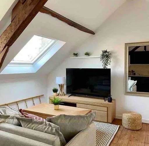 公寓 Le Bali Appart' T1 Au Centre Du Mans 勒芒