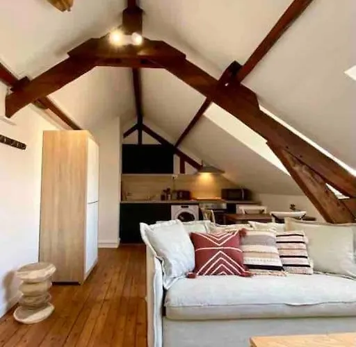 Le Bali Appart' T1 Au Centre Du Mans * 르망