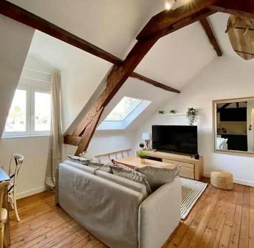 Le Bali Appart' T1 Au Centre Du Mans 아파트 르망