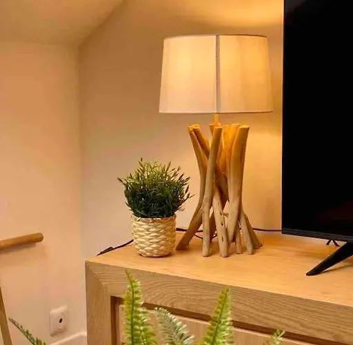 Le Bali Appart' T1 Au Centre Du Mans *