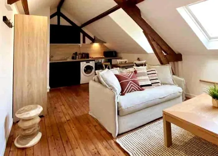 公寓 Le Bali Appart' T1 Au Centre Du Mans 勒芒