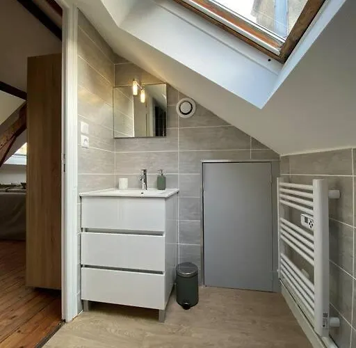 公寓 Le Bali Appart' T1 Au Centre Du Mans *